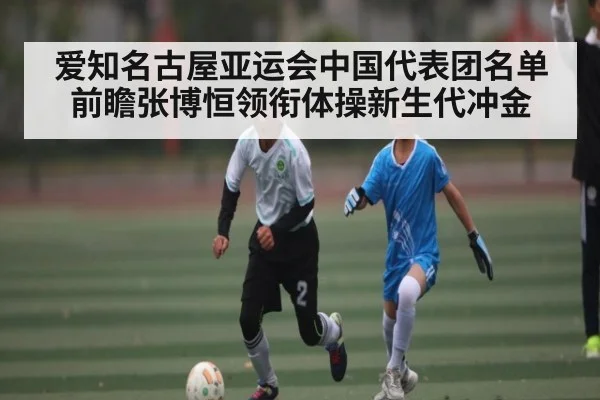 爱知名古屋亚运会中国代表团名单前瞻张博恒领衔体操新生代冲金